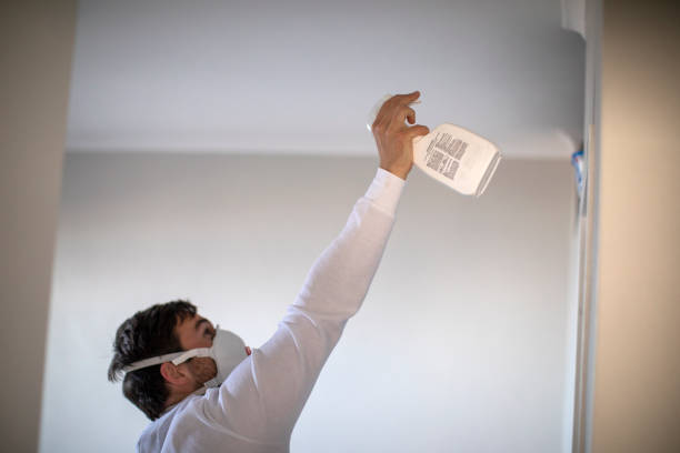 Best Mold Remediation  in Harmony Grove, CA
